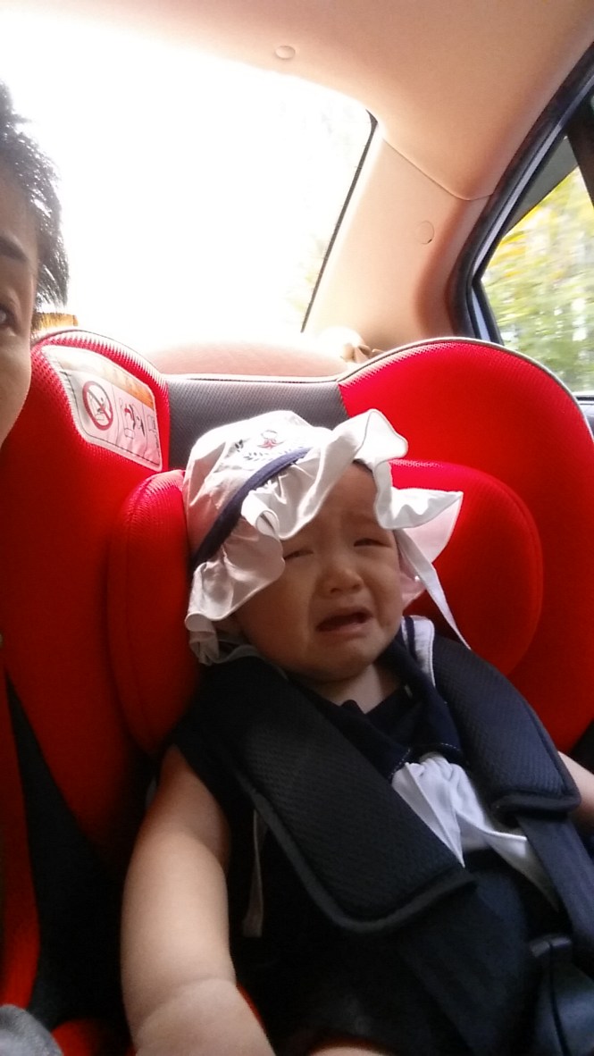 20151018_112405.jpg image